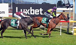 Group 3 Win for Kiss Me Ketut (NZ)